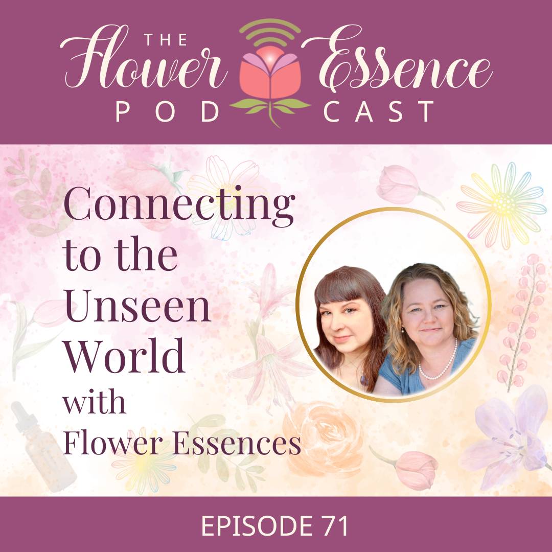 Connecting to the Unseen World with Help from Flower Essences cover art