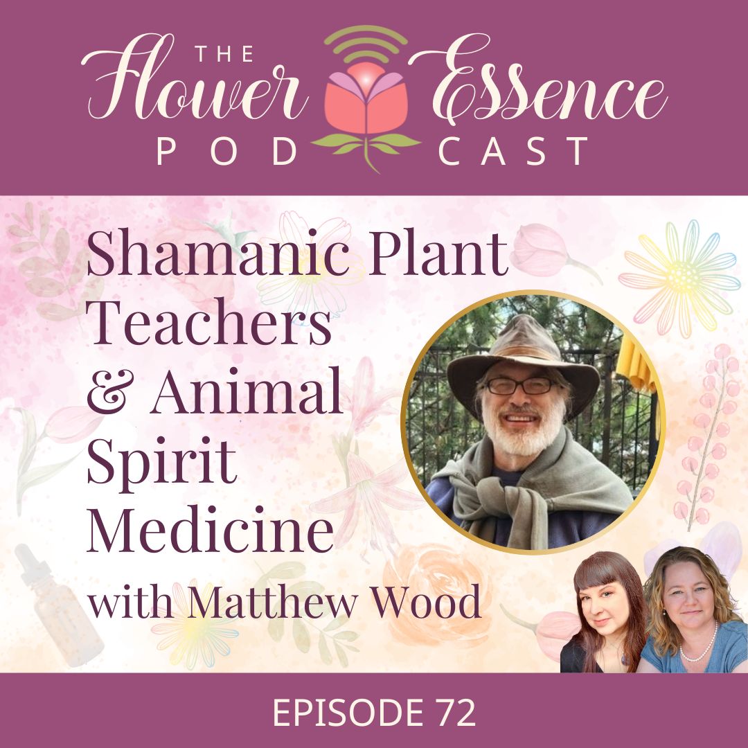 cover art for the flower essence podcast Matthew Wood episode