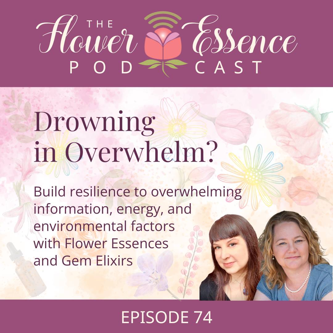 flower essences for overwhelm podcast cover art