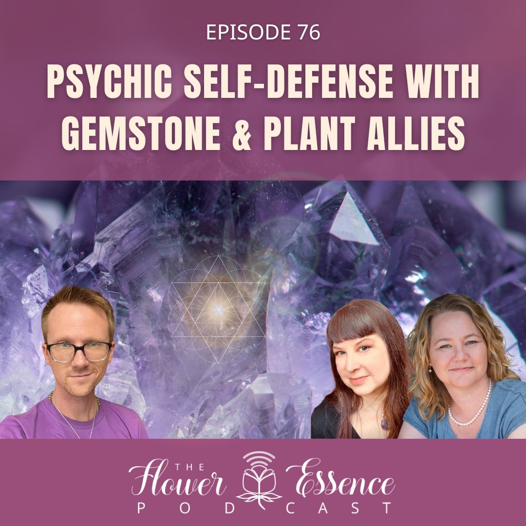 Flower Essence Podcast with Nicholas Pearson cover art