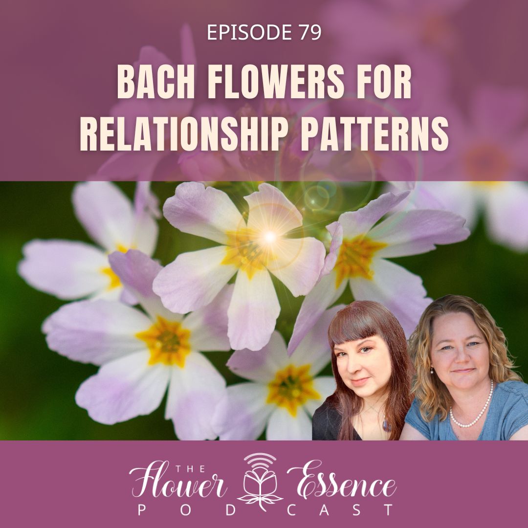 Bach Flowers for Relationship podcast cover art