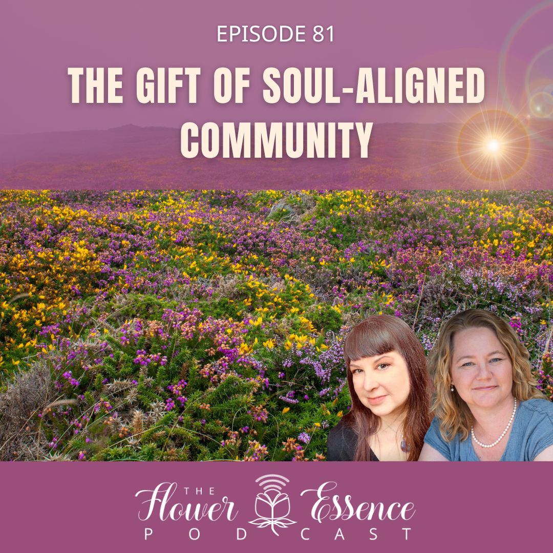 The gift of soul-aligned community podcast cover art