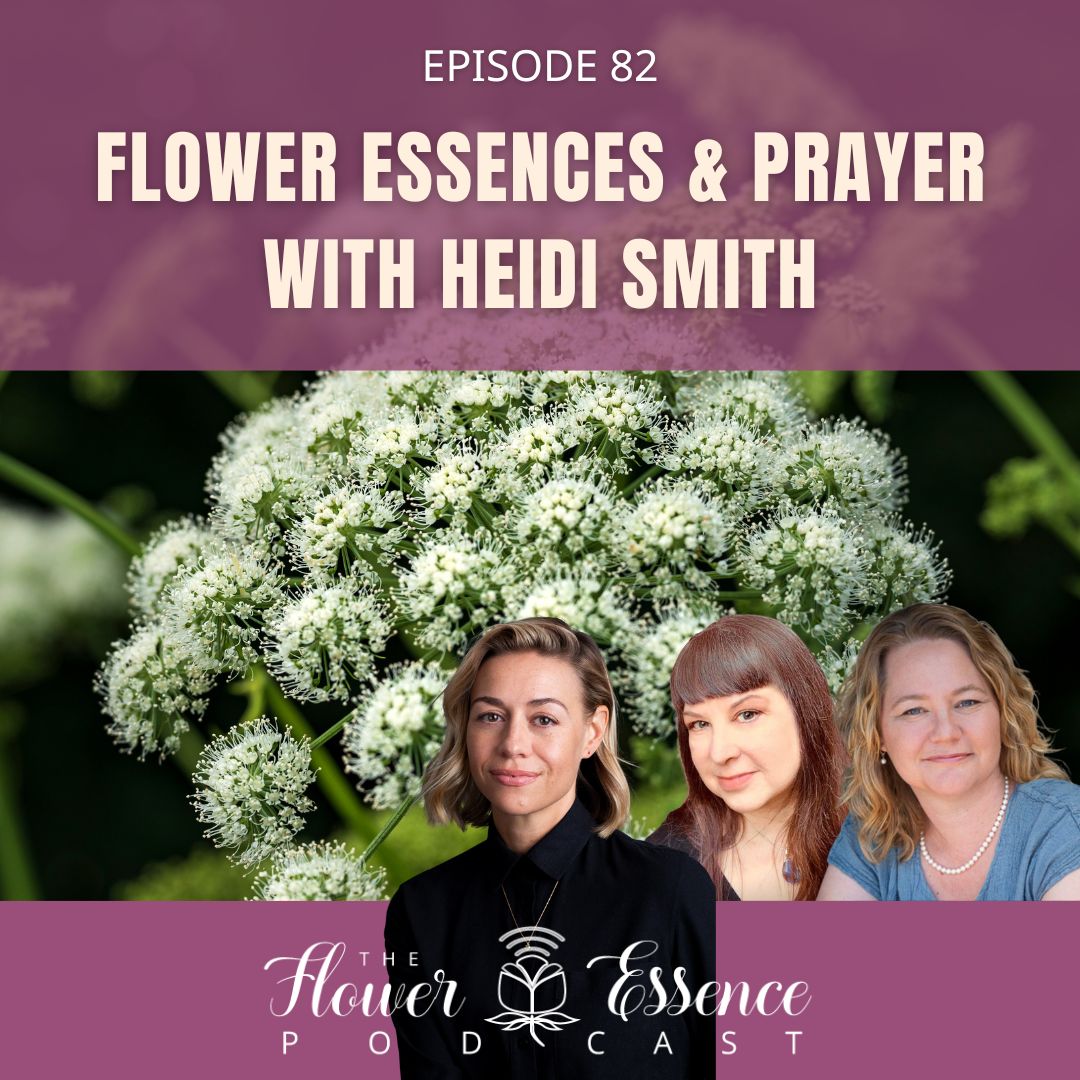 Flower Essences and Prayer podcast cover image