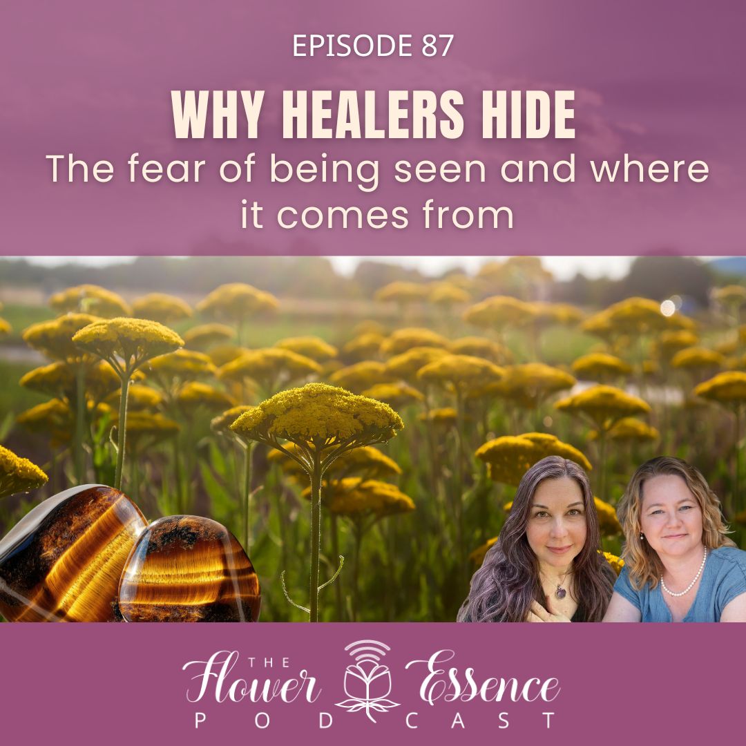 FEP87 Why Healers Hide cover art